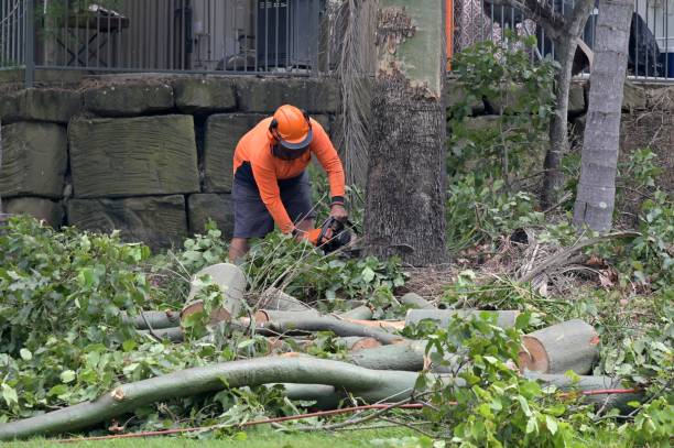 Best Commercial Tree Services  in Flower Mound, TX